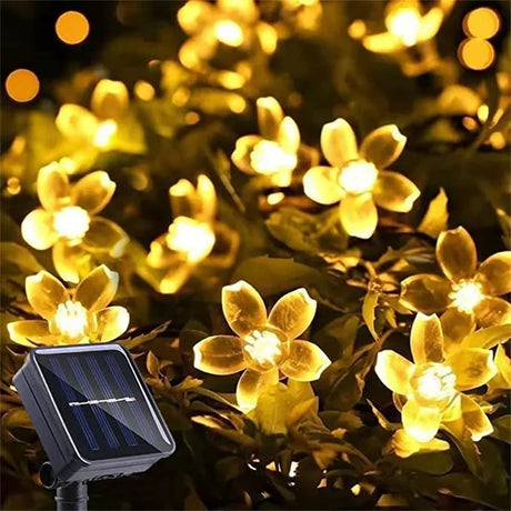 Carvallo Solar Ljuslina | 20–100 LEDs | Varmvit, Vit eller RGB | 8 Lägen | För Trädgård & Balkong | 5–12m Carvallo