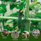 Carvallo växtstödskoppling | Stabil & Återanvändbar | För 11/16/20mm stänger | 50-pack Carvallo