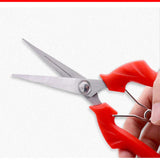 Carvallo Gräsklippare | Precisa klippning för fruktträd & bonsai | Ergonomisk & Vass | För skörd & beskärning Carvallo