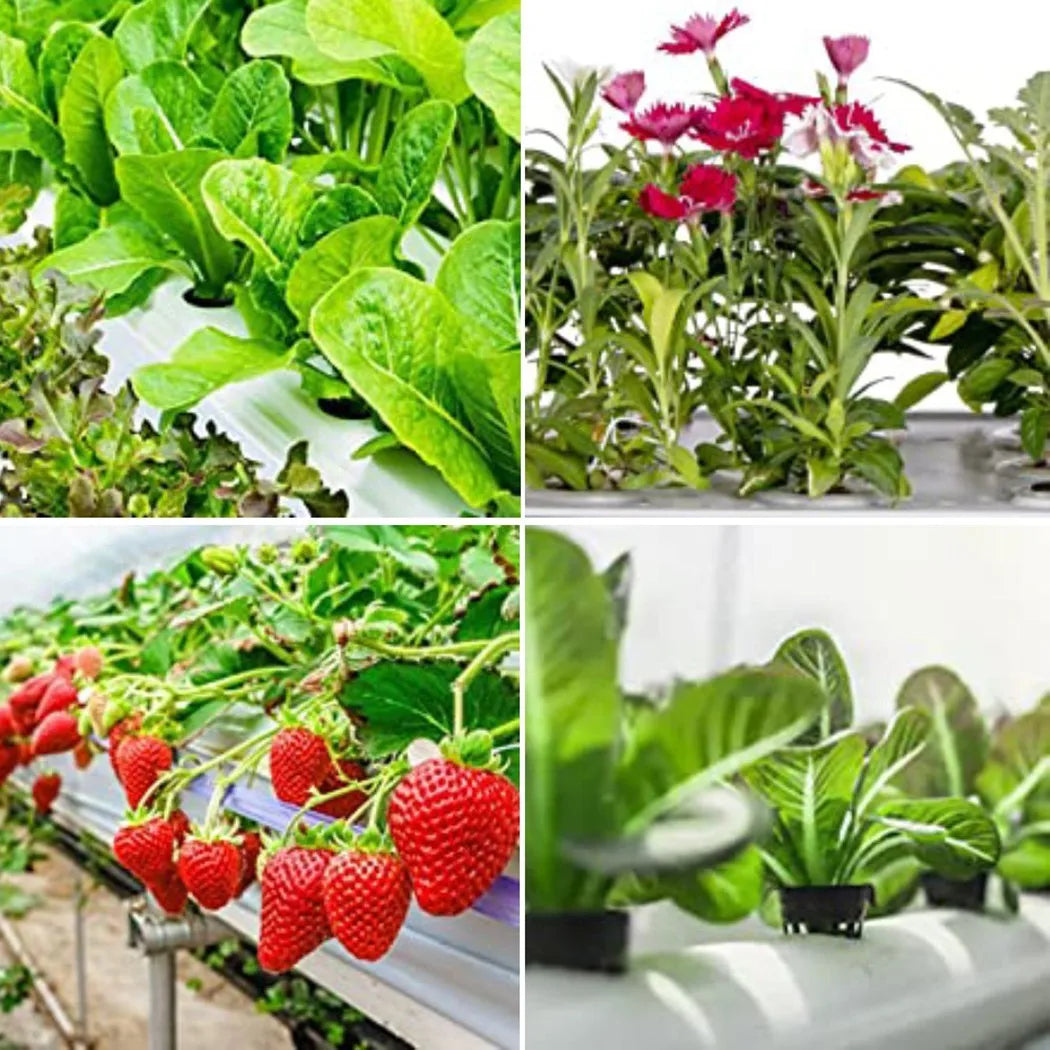 Carvallo Planter pot set Plantiva NetCup 25er set | Grid basket for hydroponics & aeroponics | Reusable & stable Carvallo