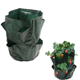 Carvallo GrowBag planterpåse för jordgubbar & grönsaker | 5/7/10 gallon | Med planteringsöppningar & bärhandtag | PE-material | Fällbar & Återanvändbar Carvallo