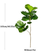 Carvallo Evergrünia | Gummiträd Ficus | 70–135 cm Höjd | Naturtroget utseende för inomhus & utomhus Carvallo