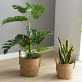 Carvallo NaturKorba | Handflätad av växtfibrer | Lantlig stil | 2 storlekar tillgängliga Carvallo