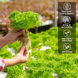 Carvallo Anzuchtkubbar för hydroponik | Steinullfria växtkubbar | Ideal för grönsaker, örter & blommor | 50/100/200/300/500 stycken Carvallo