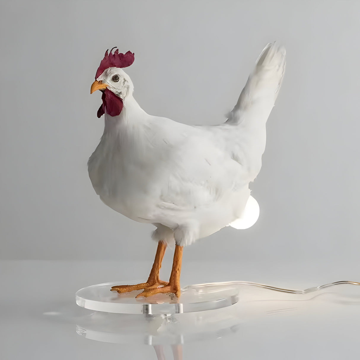 ChickGlow Ljus – Höns LED Bord-Nattlampa Carvallo