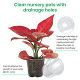 Carvallo Planter Set | 30-piece Set Transparent | 6,7" + 5" + 4" | Flexibel, Robust & med dräneringshål Carvallo
