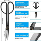 Carvallo 21 | Bonsai-sax med långt handtag | 21 cm | Precision klippning för växter & grenar Carvallo