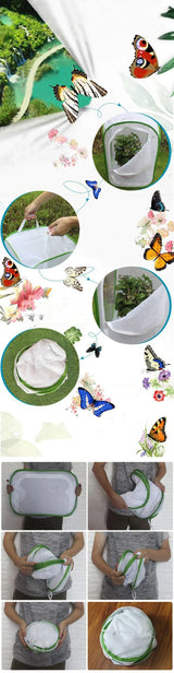 Carvallo Fällbart Insekthabitat | Zyning- & Observationsnät | Rostfritt stålram | För fjärilar, gräshoppor & silkesmaskar Carvallo