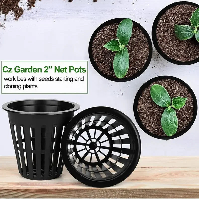 Carvallo Grow | 50-100 set nätkopp för hydrokultur & odling | 5,5 × 5,5 × 5 cm | Återanvändbar & UV-beständig Carvallo