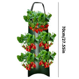 Carvallo Planter bag with 4/6/8/10 openings | Hanging & Breathable | For strawberries, tomatoes & herbs | Durable canvas fabric Carvallo