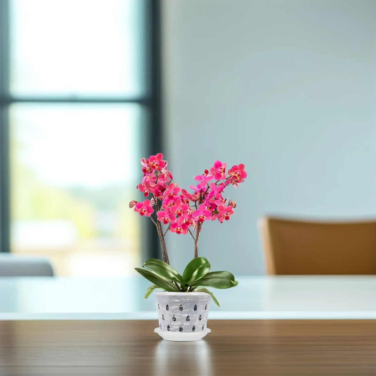 Carvallo Blomkrukor Klara | 5-pack | Med dräneringshål | Transparenta & Stabil – Florvista Carvallo