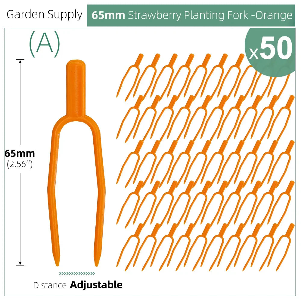 Carvallo | 50-piece set plant stem and vine fixers | 5.5 cm & 6.5 cm | Stable attachment for strawberries, watermelons & climbing plants Carvallo