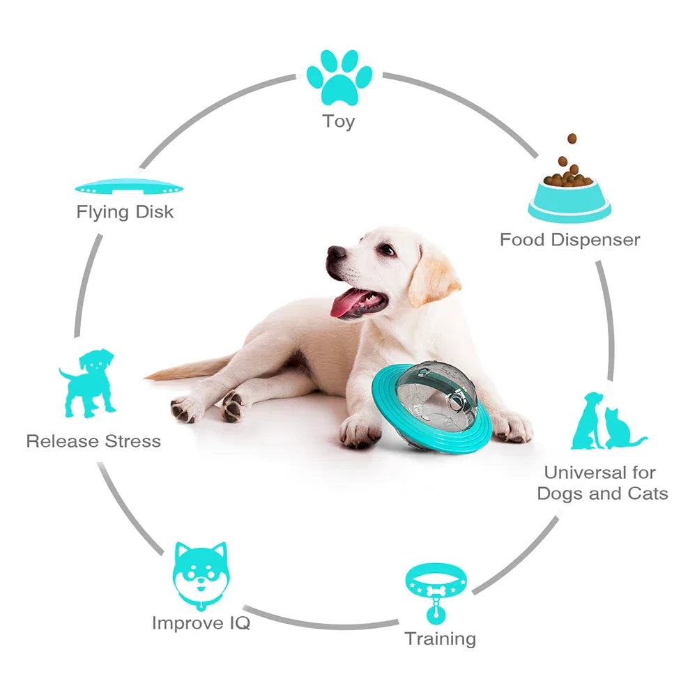 Carvallo Disc Hund- & Kattleksak | Interaktiv Fodersystem & Intelligenstränare | Frisbee & Slow Feeder Carvallo