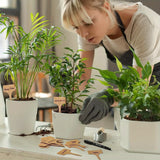 Carvallo NaturLine växtskyltar av bambu 50 st. | T-formad trädgårdspik | Ombart och väderbeständig | För örter, grönsaker och blommor Carvallo