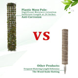 Carvallo Moosstav-Set för klätterväxter | Transparent PVC växtstöd | Inomhus & Utomhus Carvallo