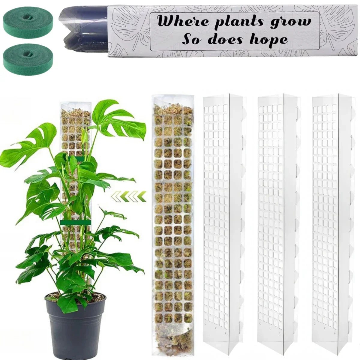Carvallo Moosstav-Set för klätterväxter | Transparent PVC växtstöd | Inomhus & Utomhus Carvallo