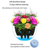 Carvallo Bloom Hängande kruka | Europeisk stil | Skalmönster & Rattanutseende | För trädgård, balkong & inomhus Carvallo