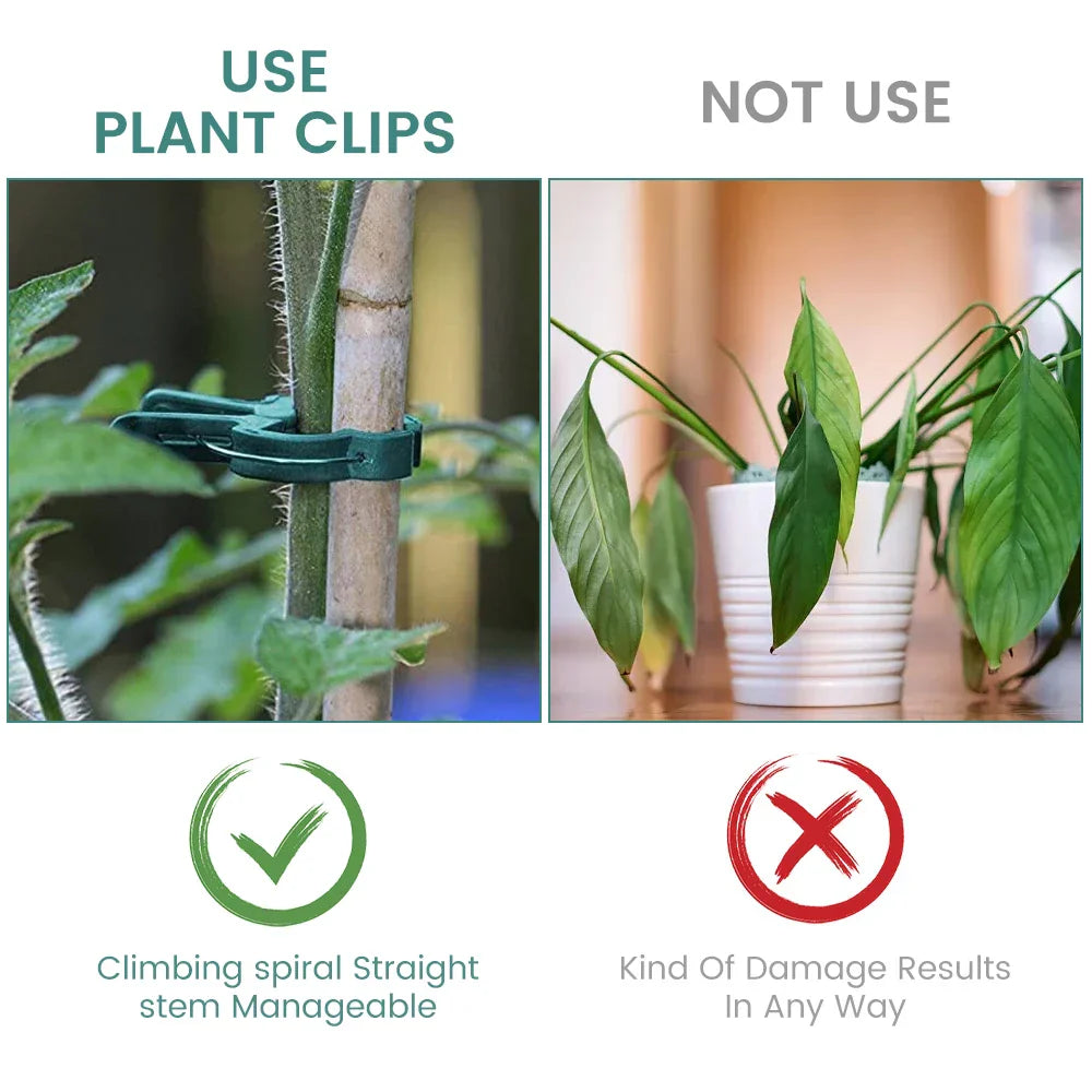 Carvallo växtklipp | Återanvändbara hållare | För tomater, grönsaker & klätterväxter | Stabil & väderbeständig Carvallo