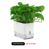 Carvallo BloomEase | Självbevattnande & Platsbesparande | Med vattennivåindikator | För krukväxter & örter Carvallo