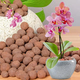 Carvallo Blähton Kulor | Organisk & Återanvändbar | För dränering & Hydroponik Carvallo