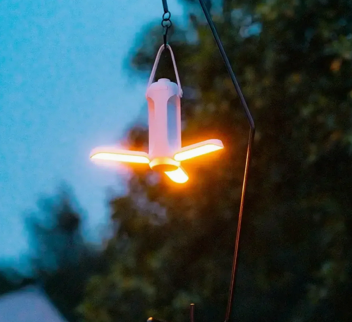 Carvallo – Ditt ljus, din kraft överallt! Carvallo