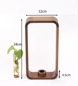 Carvallo – Stilig Växtodlare med Modern Design Carvallo