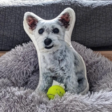 Husdjurs Kudde - Med Eget Foto-Hemnix-Hemnix