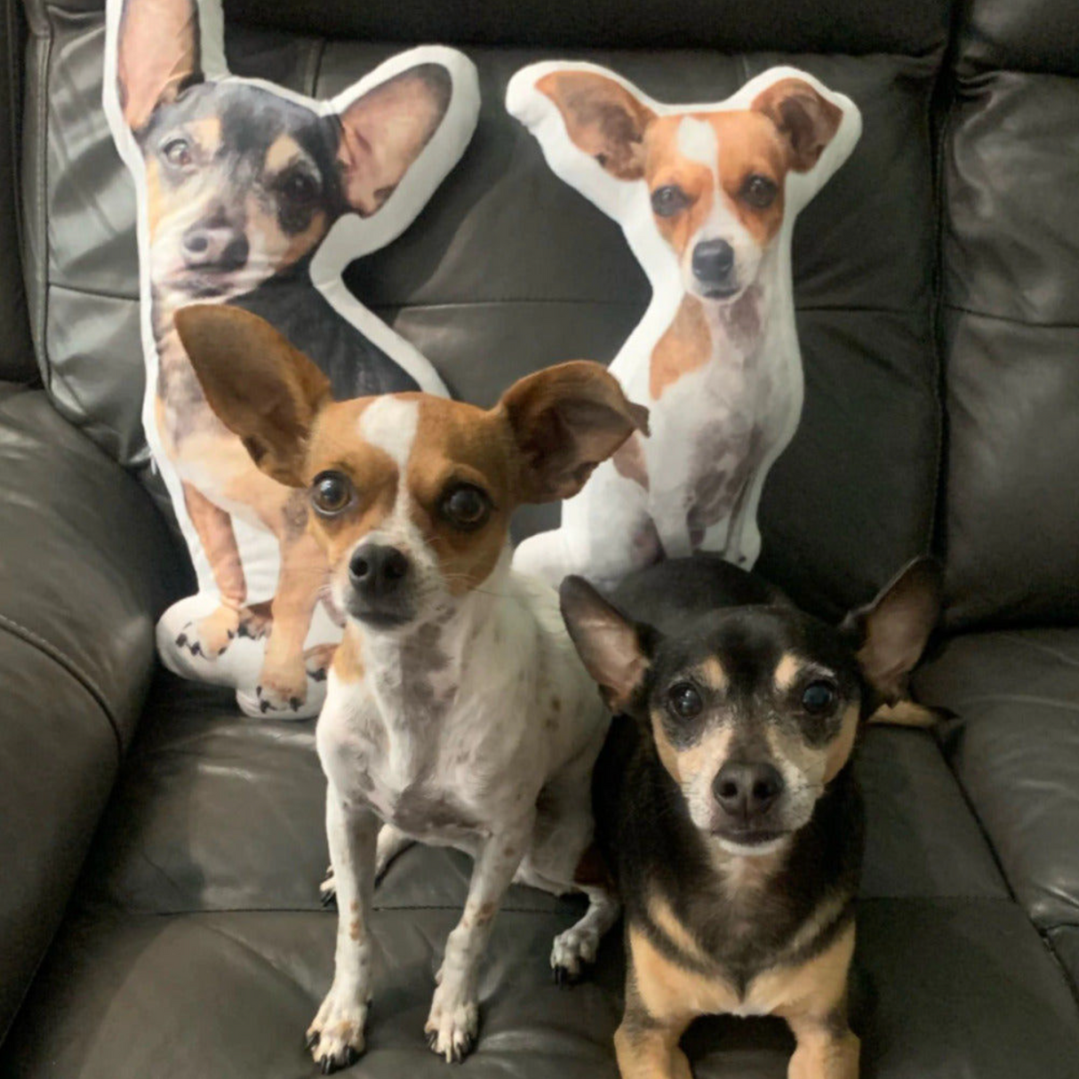 Husdjurs Kudde - Med Eget Foto-Hemnix-Hemnix