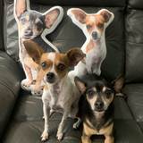 Husdjurs Kudde - Med Eget Foto-Hemnix-Hemnix