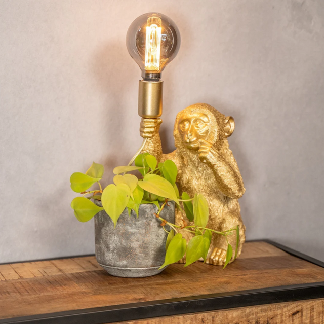 Elegant Guld Apa Blomkruka Lampa Carvallo