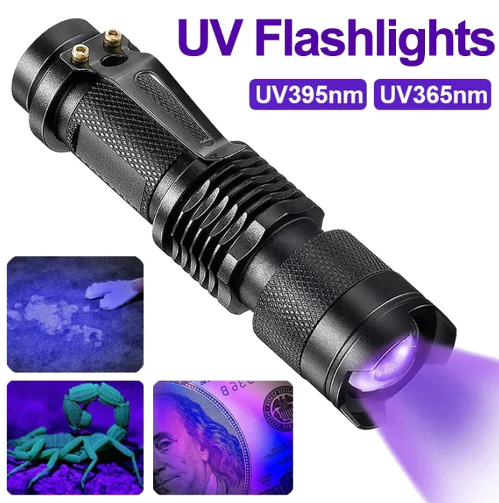 UV-LED-ficklampa – Ultraviolet belysning för fläckdetektering och husdjursurin-detektering Carvallo