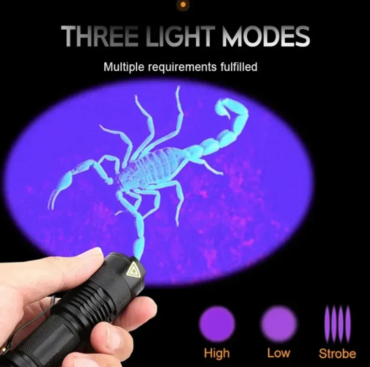 UV-LED-ficklampa – Ultraviolet belysning för fläckdetektering och husdjursurin-detektering Carvallo