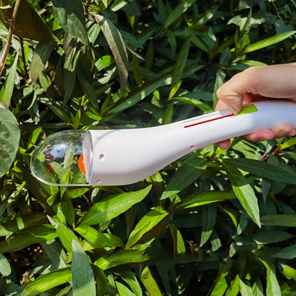 Carvallo – Den skonsamma insektshanteraren! Carvallo