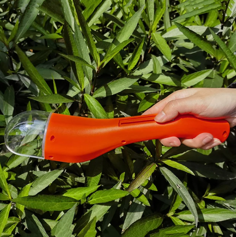 Carvallo – Den skonsamma insektshanteraren! Carvallo