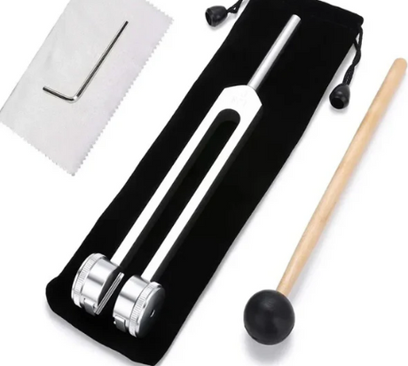 Stämapparatsverktyg för ljudläkning Carvallo