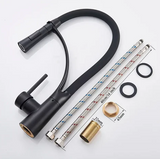 Kökskran med utdragbar sprayfunktion Carvallo