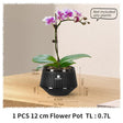 Carvallo Orchid Pot | Ventilerad planteringskruka med dräneringshål | 12 cm | Robust PP-material för inomhus och utomhus Carvallo