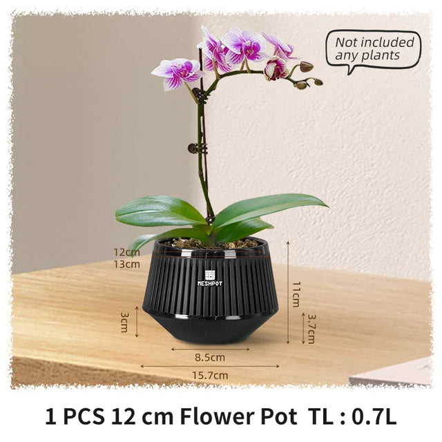 Carvallo Orchid Pot | Ventilerad planteringskruka med dräneringshål | 12 cm | Robust PP-material för inomhus och utomhus Carvallo