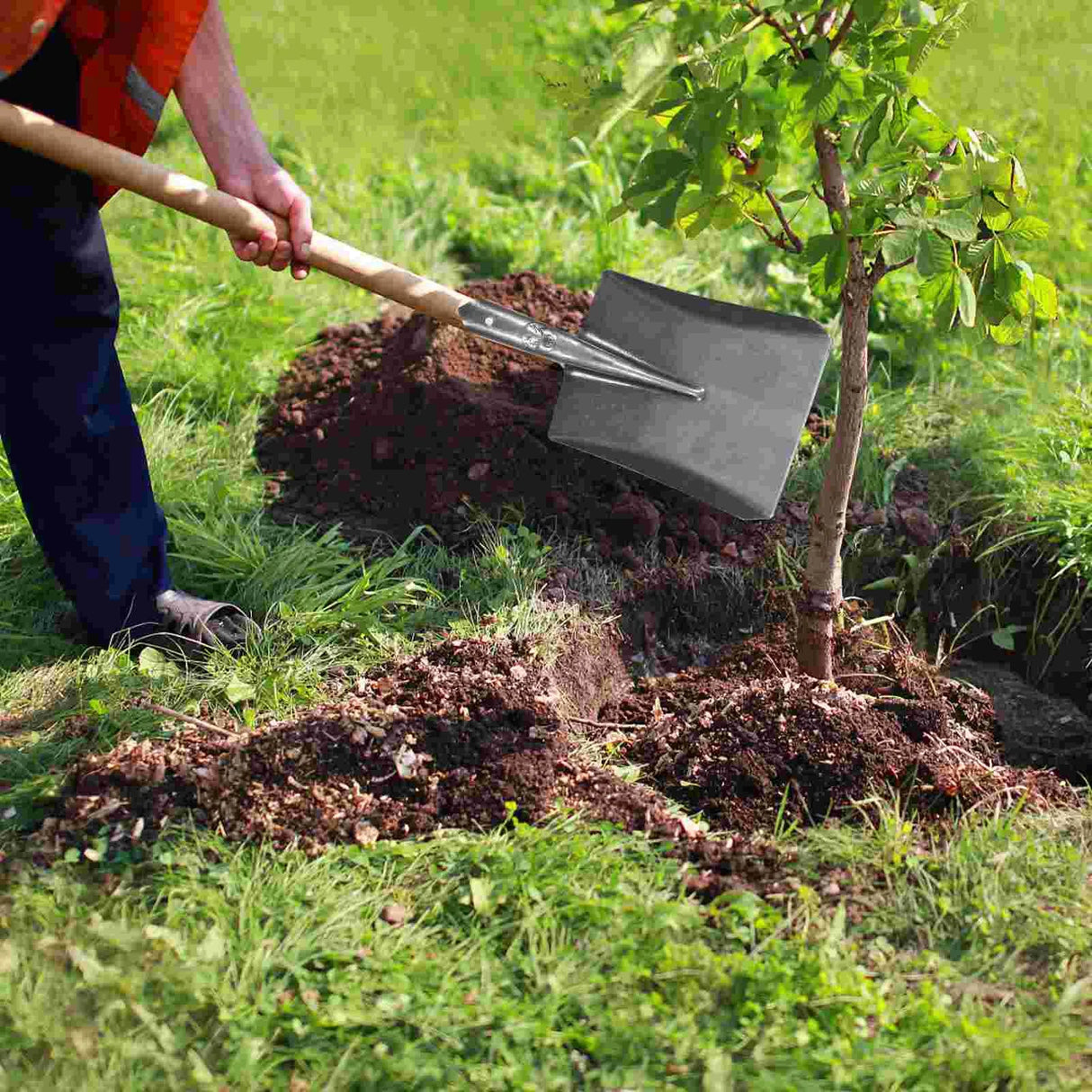 Carvallo Trädgårdsspade | Högkvalitativ handspade av kolstål | För hårda jordar, gräskanter & rotarbeten Carvallo