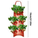 Carvallo Planter bag with 4/6/8/10 openings | Hanging & Breathable | For strawberries, tomatoes & herbs | Durable canvas fabric Carvallo