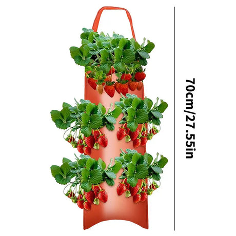 Carvallo Planter bag with 4/6/8/10 openings | Hanging & Breathable | For strawberries, tomatoes & herbs | Durable canvas fabric Carvallo