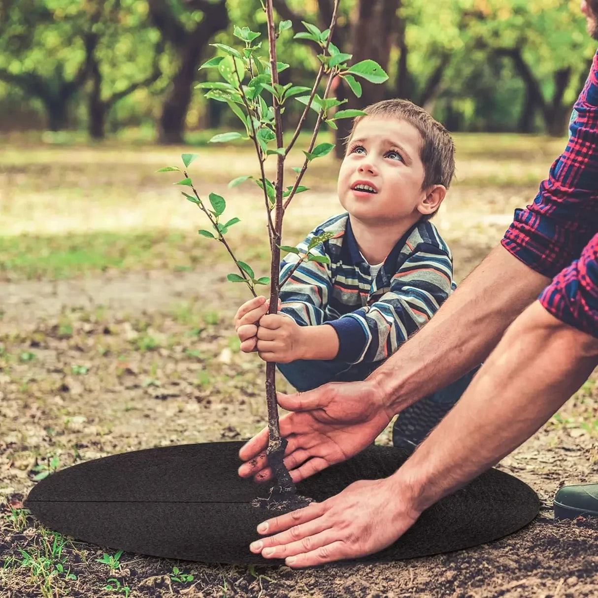 Ogräsväv Baumscheibe – Andningsbar rotskyddsmatta för trädgård och växter Carvallo