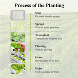 Carvallo | Hydrokultursystem med 36 plantplatser | Jordlös PVC-rörledning för grönsaker och örter | Komplett odlingsset Carvallo