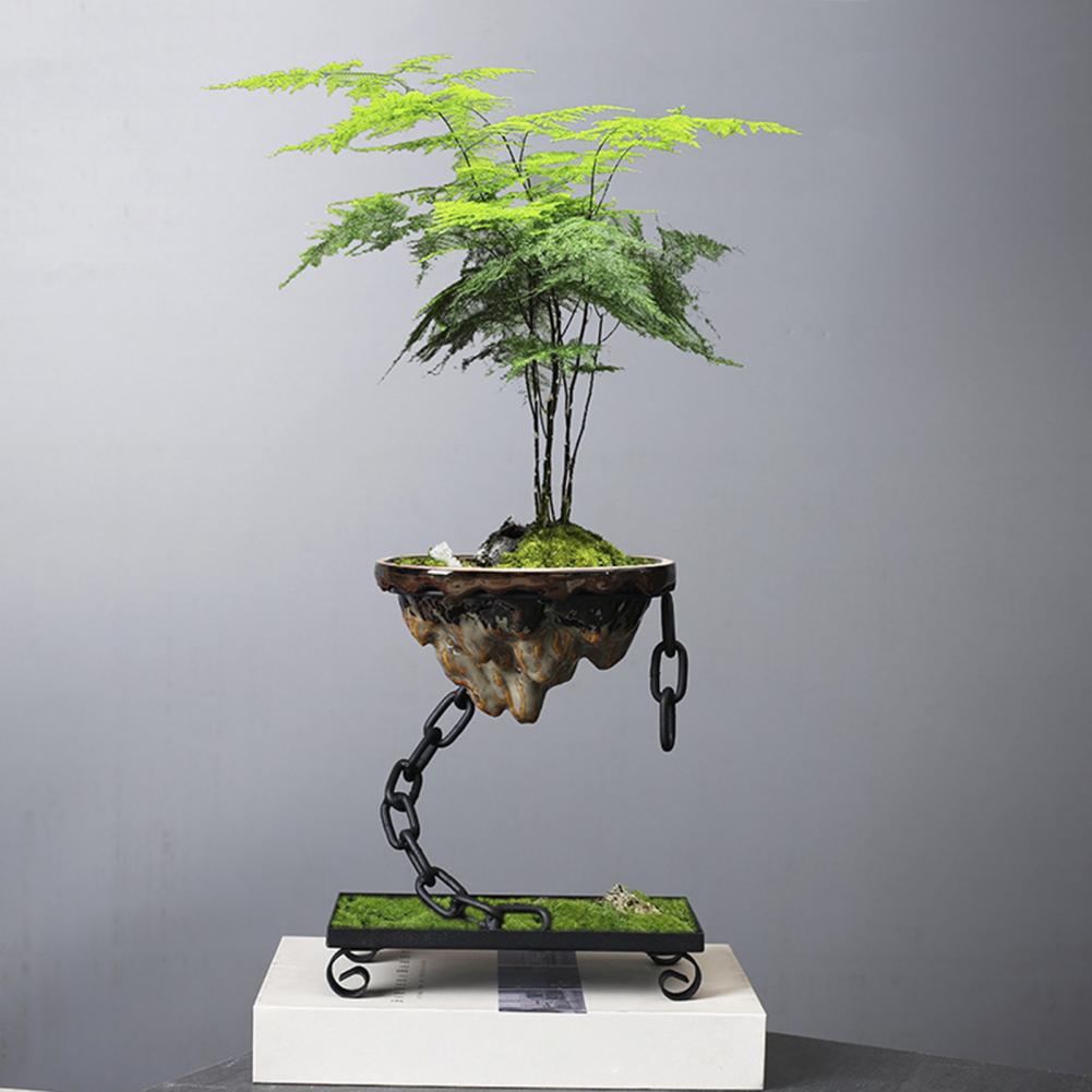 Planter Flytande Bonsai Hängande Display Skål Carvallo