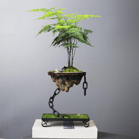 Planter Flytande Bonsai Hängande Display Skål Carvallo