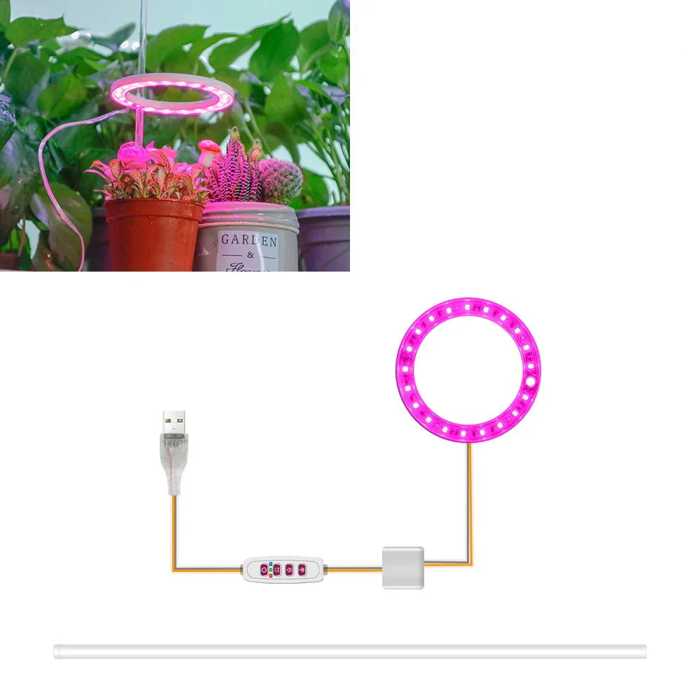 Carvallo Luminara Ring | LED-växtbelysning med timerfunktion | 1–4 huvuden | USB-driven & 5-stegs dimbar Carvallo