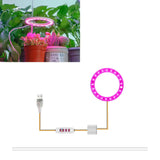 Carvallo Luminara Ring | LED-växtbelysning med timerfunktion | 1–4 huvuden | USB-driven & 5-stegs dimbar Carvallo