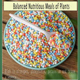 Carvallo Långtidsnäring för Krukväxter | Universalgödsel i Granulatform | NPK-formel med Kväve, Fosfor & Kalium Carvallo