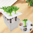 Carvallo Indoor-Grow-Set Hydroponiskt växtsystem för inomhusbruk | Självvattnande mini-växthus | 12×18×10,5 cm | För örter & sticklingar Carvallo