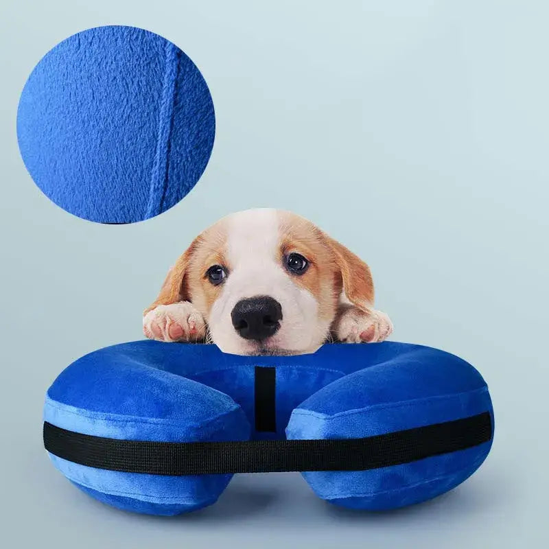 Royallure Uppblåsbar Hundåterhämtningskrage – Mjuk Donutdesign, Bekväm & Flextible Carvallo